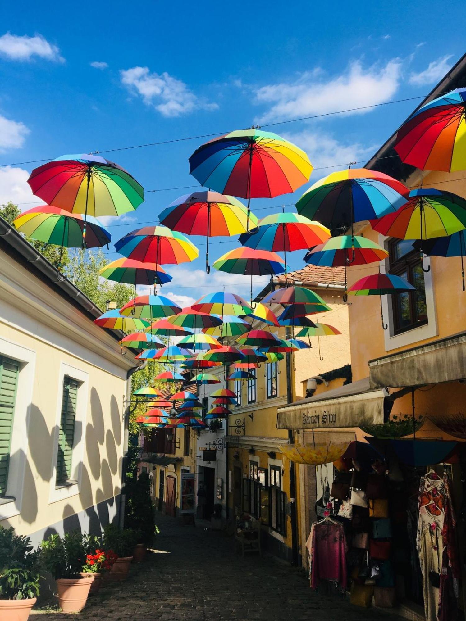 Pannonia * Szentendre